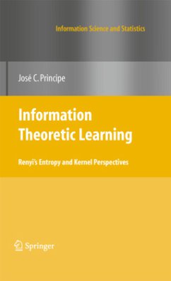 Information Theoretic Learning - Principe, Jose C.