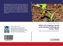 Effect of irrigation levels and sowing methods on maize 