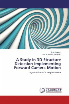 A Study in 3D Structure Detection Implementing Forward Camera Motion