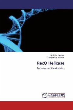 RecQ Helicase