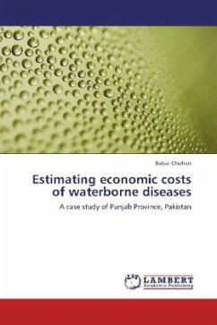 Estimating economic costs of waterborne diseases