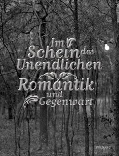 Cover Im Schein des Unendlichen
