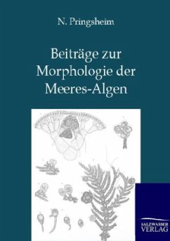 Beiträge zur Morphologie der Meeres-Algen - Pringsheim, N.