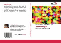 Caleidoscopio - Novoa Montoya, Andrés;Sánchez Riaño, Vladimir