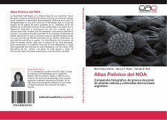 Atlas Polínico del NOA - García, María Elena;Reyes, Nora J.F.;Ríos, Hernán G.
