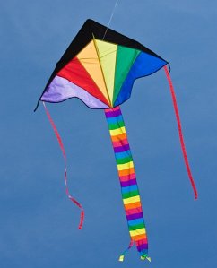 Cover Ecoline 102145 - Ecoline: Simple Flyer Rainbow, 75x120cm, Drachen/Kinderdrachen