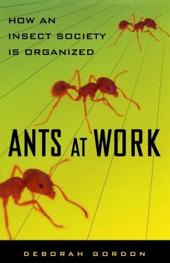 Ants at Work - Gordon, Deborah