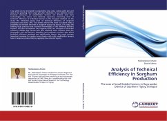 Analysis of Technical Efficiency in Sorghum Production