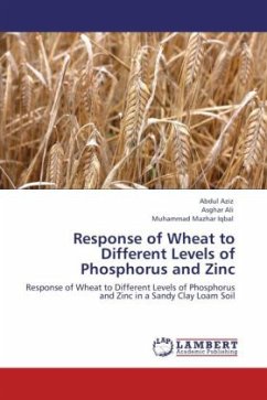 Response of Wheat to Different Levels of Phosphorus and Zinc
