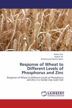 Response of Wheat to Different Levels of Phosphorus and Zinc - Aziz, Abdul;Ali, Asghar;Iqbal, Muhammad Mazhar