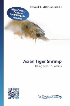 Asian Tiger Shrimp
