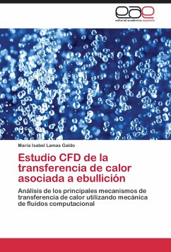 Estudio CFD de la transferencia de calor asociada a ebullición - Lamas Galdo, María Isabel