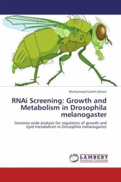 RNAi Screening: Growth and Metabolism in Drosophila melanogaster - Zahoor, Muhammad Kashif