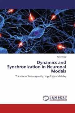 Dynamics and Synchronization in Neuronal Models