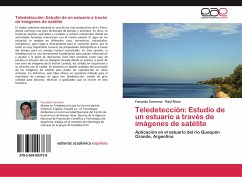 Teledetección: Estudio de un estuario a través de imágenes de satélite - Carmona, Facundo;Rivas, Raúl