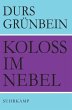 Koloss im Nebel - Bild 1