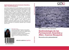 Sedimetología de las Formaciones Anacleto y Allen, Cuenca Neuquina