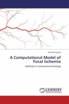 A Computational Model of Focal Ischemia