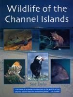 Wildlife of the Channel Islands - Daly, Sue