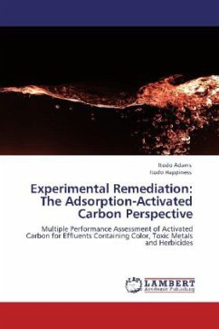 Experimental Remediation: The Adsorption-Activated Carbon Perspective