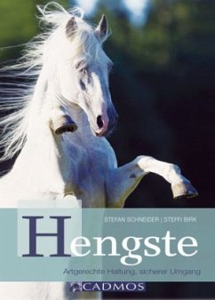 Hengste - Schneider, Stefan