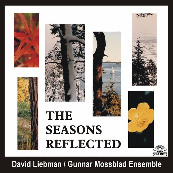 The Seasons Reflected