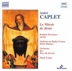 Le Miroir De Jesus - Desnoues,Brigitte/Foster,Mark