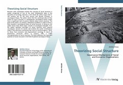 Theorizing Social Structure