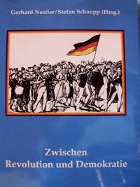 Zwischen Revolution und Demokratie - Nestler, Gerhard; Schaupp, Stefan