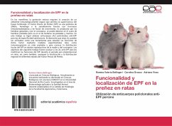 Funcionalidad y localización de EPF en la preñez en ratas
