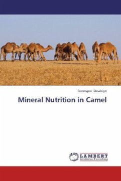 Mineral Nutrition in Camel