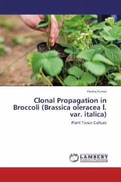 Clonal Propagation in Broccoli (Brassica oleracea l. var. italica) - Kumar, Pankaj