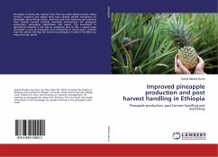 Improved pineapple production and post harvest handling in Ethiopia
