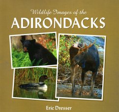 Wildlife Images of the Adirondacks - Esser, Eric