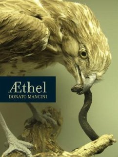 Aethel - Mancini, Donato