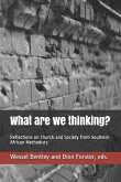 What are we thinking?: Reflections on Church and Society from Southern African Methodists