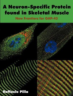 A Neuron-Specific Protein found in Skeletal Muscle - Pilla, Raffaele