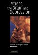 Stress, the Brain and Depression - Bild 1