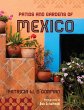 Patios and Gardens of Mexico - Bild 1