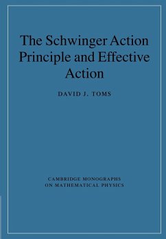 The Schwinger Action Principle and Effective Action - Toms, David J.