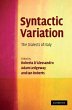 Syntactic Variation - Bild 1