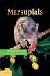 Marsupials - Bild 1