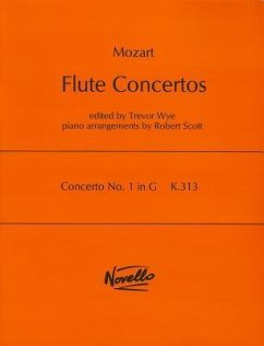 Concerto No. 1 in G, K.313