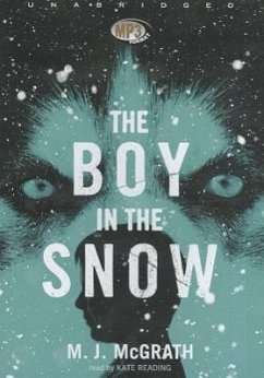 Cover The Boy in the Snow
