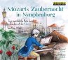 Mozarts Zaubernacht in Nymphenburg - Bild 1