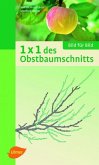 1 x 1 des Obstbaumschnitts: Bild für Bild