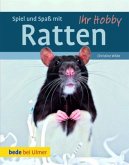 Spiel und Spaß mit Ratten