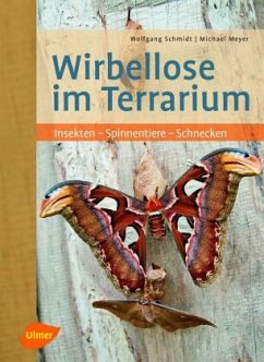 Wirbellose im Terrarium - Schmidt, Wolfgang;Meyer, Michael