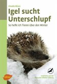 Igel sucht Unterschlupf