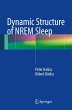 Dynamic Structure of NREM Sleep - Bild 1